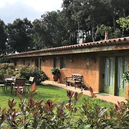 Aurora 2-Bed Cottage - Sleeps 4 - Montseny Park Arbúcies Exterior foto