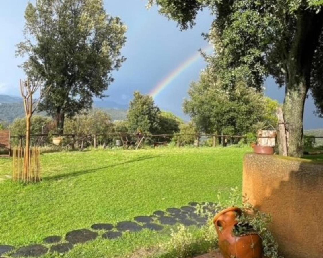 Aurora 2-Bed Cottage - Sleeps 4 - Montseny Park Arbúcies Exterior foto