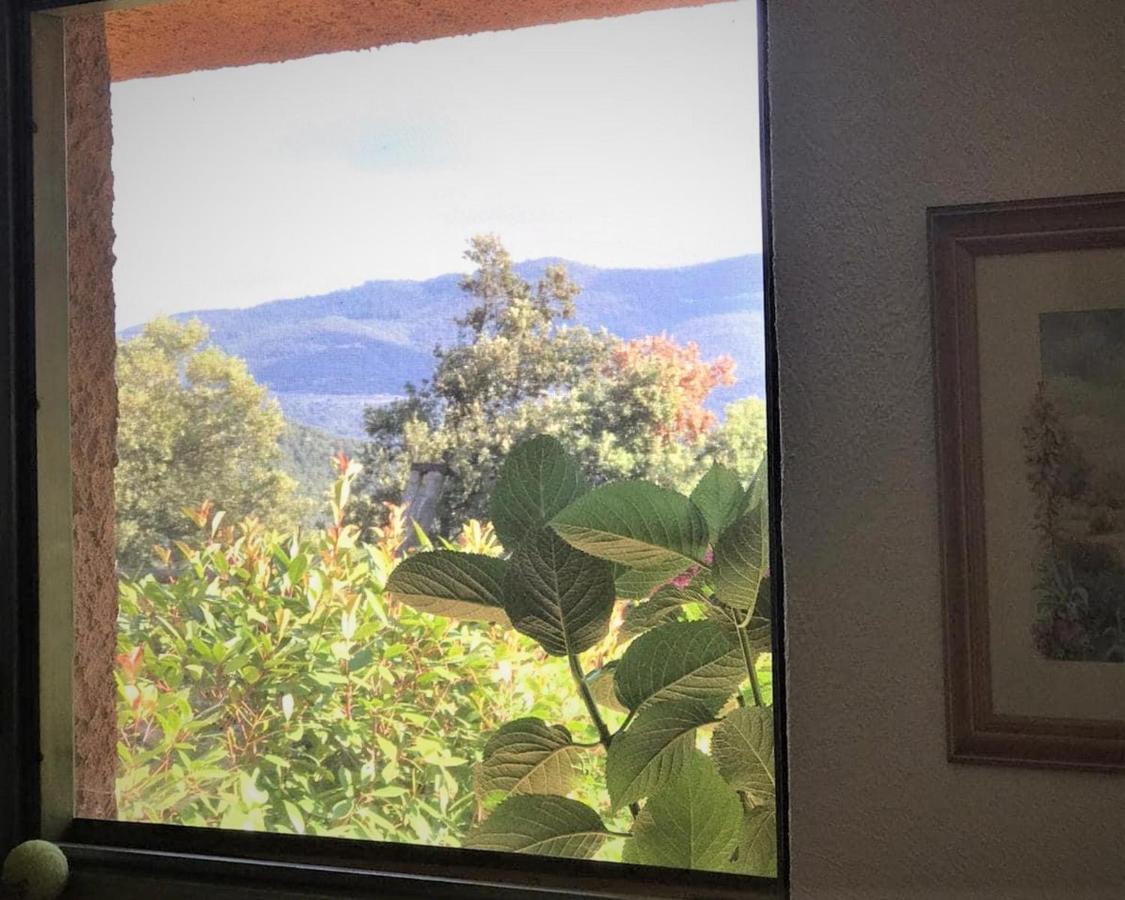 Aurora 2-Bed Cottage - Sleeps 4 - Montseny Park Arbúcies Exterior foto